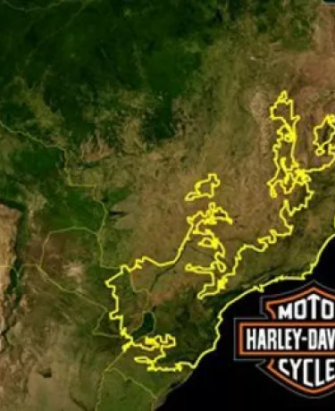 Harley-Davidson vai plantar 50 milhões de árvores em todo o mundo até 2025
