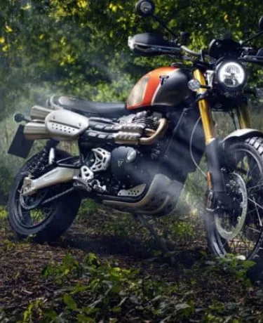 Triumph de ouro: edição limitada de motos clássicas