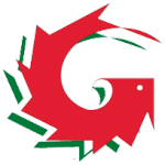 logo garinni