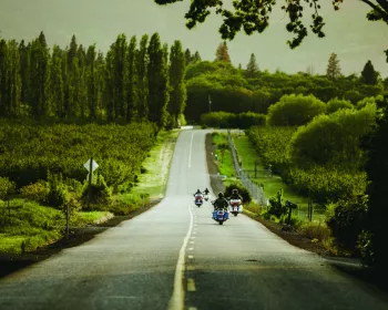 Harley-Davidson lança campanha para o programa Renew the Ride™