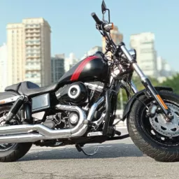 Imagens anúncio Harley-Davidson Dyna Dyna Fat Bob