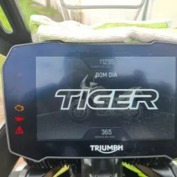 Imagens anúncio Triumph Tiger 900 ABS Tiger 900 Rally PRO